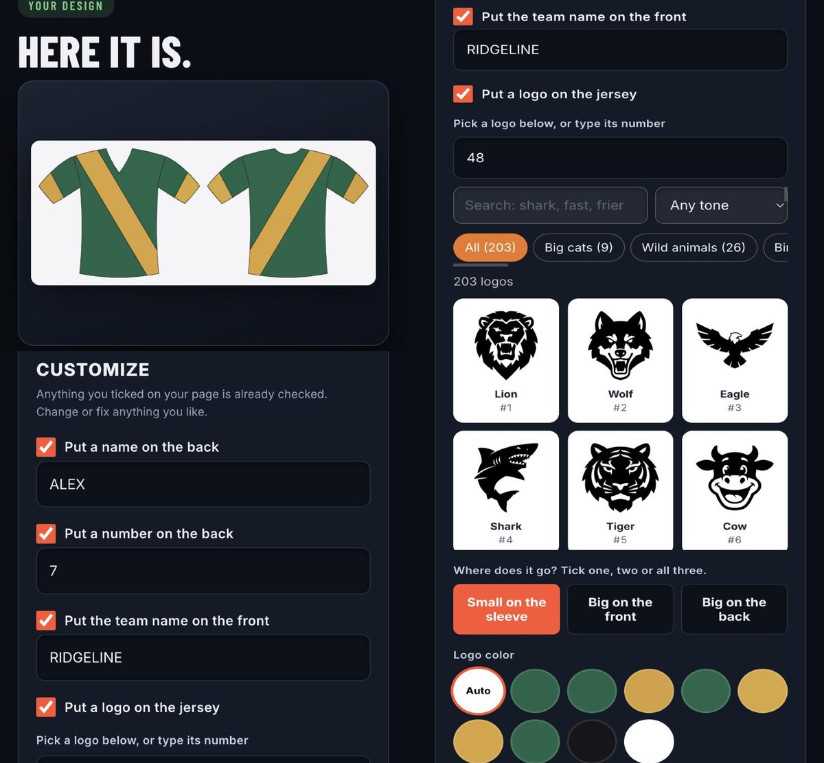 The website's customize step: name, number, team name, logo, logo place, logo color and size