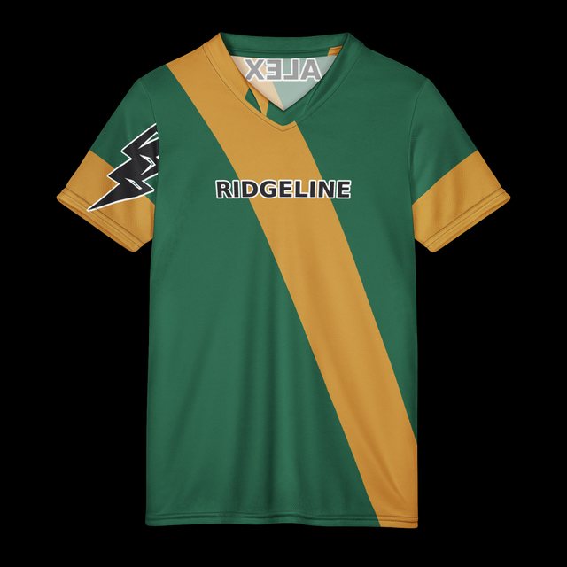 A jersey with a team name across the chest and a logo on the sleeve